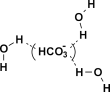 väzby iónov (HCO3)- z molekulami vody